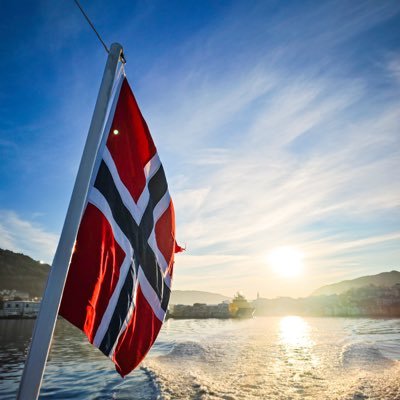 VInfussi's profile picture. 