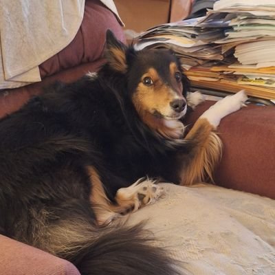Charlesfan007's profile picture. if you're looking for money I am not it? And if you want to talk I'm up for it. And I am not in the bit coin or crypto.