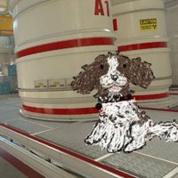 Snuffpuppy (@d0g_wife) 's Twitter Profile