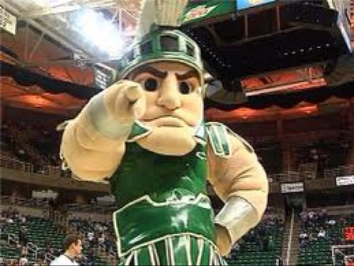 pablomeister's profile picture. 