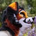 Sierra (@sierrawoof) Twitter profile photo Sierra (@sierrawoof) Twitter profile photo