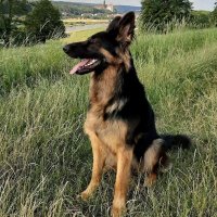 Ömer Faruk Yüce (@omerfarkyuce) Twitter profile photo