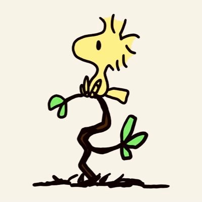 Mr100roi's profile picture. Just a guy with ideas
