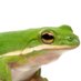 Based Frog (@basedfrogreal) Twitter profile photo Based Frog (@basedfrogreal) Twitter profile photo