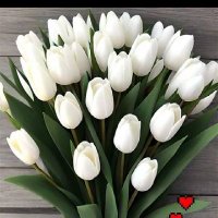 صالحه (@lh3429996281035) Twitter profile photo