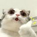 ALIFF SYAHID ROSFADZLI (@matneverthat) Twitter profile photo ALIFF SYAHID ROSFADZLI (@matneverthat) Twitter profile photo