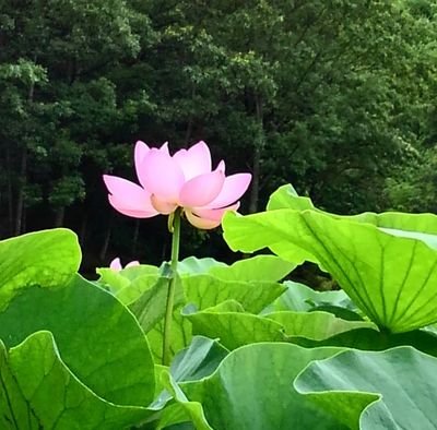 praise437's profile picture. Music is the divine way to tell beautiful, poetic things to the heart.