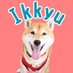 【実家の柴犬】一休さん (@ikkyu_1113) Twitter profile photo 【実家の柴犬】一休さん (@ikkyu_1113) Twitter profile photo