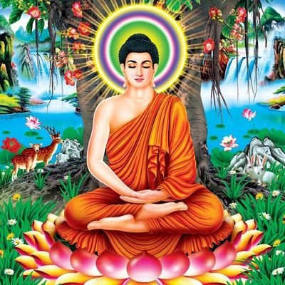 Nature is everything means God,
Nature is the best teacher to learn about life.
☸🙏जय भीम नमो: बुद्धाय🙏 ☸
Educate, Agitate, Organize🐘
Yoga is more powerful🧘