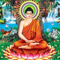 RAJESH KUMAR (@rnshivanah) 's Twitter Profile Photo