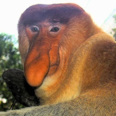 MakersCoin's profile picture. 