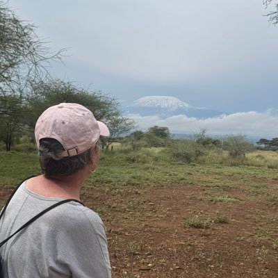 jmkieny's profile picture. University of South Carolina Gamecock, Golden Retrievers