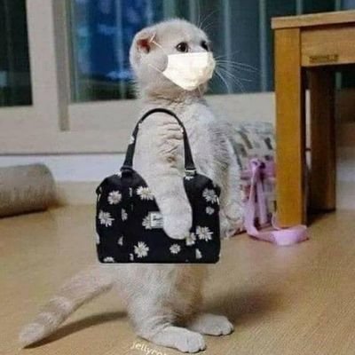 Simple_Araπ³π¦ππ©ΊππΌπΈπ¬π²πΎπ³π·βοΈ Profile