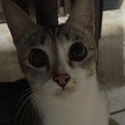HariSifar's profile picture. overcoming local maxima