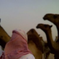 محمد الجبلي (@aljbly88m) 's Twitter Profile