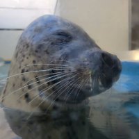 ︎めい🌿 (@may__august) 's Twitter Profile