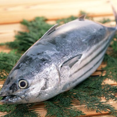 HassyYukio55738's profile picture. 千葉県松戸市在住　高知市出身
高知ユナイテッドSC　関東エリアサポーター　介護支援専門員（ケアマネ）　介護福祉士　防災士