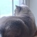 perfettonoddy (@perfettonoddy) Twitter profile photo perfettonoddy (@perfettonoddy) Twitter profile photo