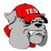 Teresa Dale (@teresadaletes) Twitter profile photo Teresa Dale (@teresadaletes) Twitter profile photo