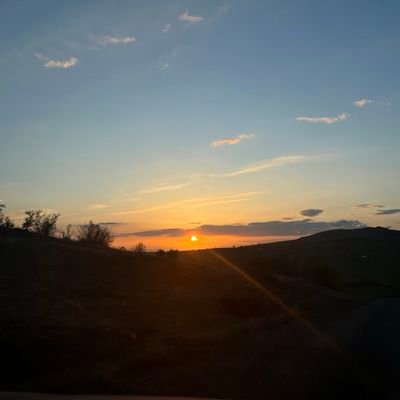 aslan_yanar8's profile picture. 