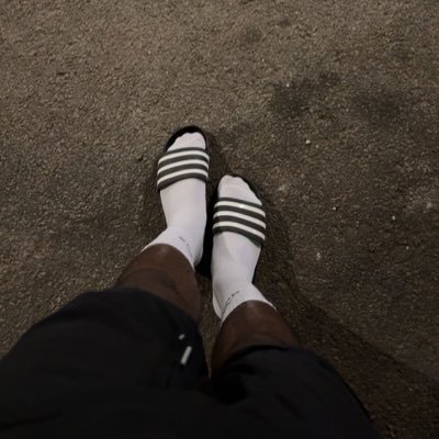 friedodino's profile picture. Just for fun
