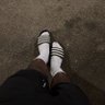 friedodino's profile picture. Just for fun