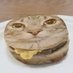 beeg carl (@beeg_carl) Twitter profile photo beeg carl (@beeg_carl) Twitter profile photo