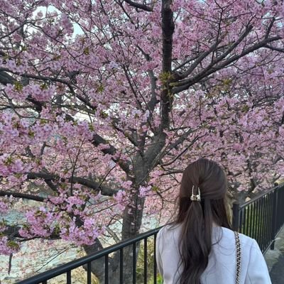 東海地方🌍️|金融→制作会社→独立|構成づくりから、デザイン・コーディング・アクセス解析まで対応🤝|想いを反映し、課題解決につながるWebサイトを作ります💡|WordPress・Studio対応|ご相談・お見積りはお気軽にDMください🌸|ポートフォリオ作成中