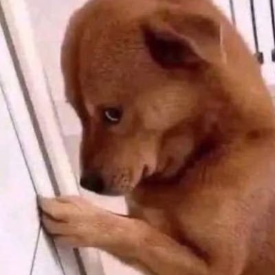 anabelaand's profile picture. 