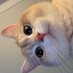 코코 (@262700so) Twitter profile photo 코코 (@262700so) Twitter profile photo