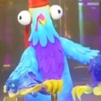 Budge (@verdantshaman) 's Twitter Profile Photo