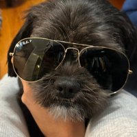 Oscar soto (@oscarsoto644401) 's Twitter Profile Photo Oscar soto (@oscarsoto644401) 's Twitter Profile Photo