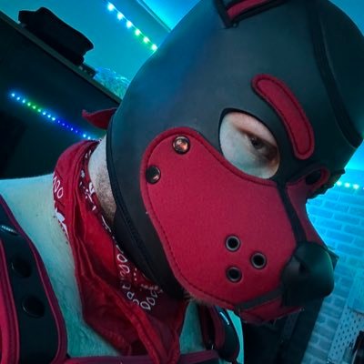 Pup Scout π NuzzFest Profile