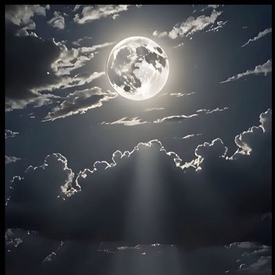 the71741's profile picture. rather be drained than broke