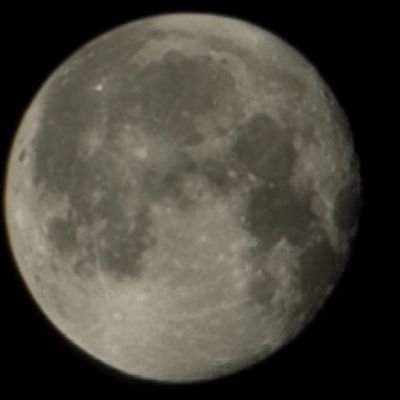 EarthVessel7's profile picture. A student of life