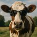 NotGoodFoods (@notgoodfoods) Twitter profile photo NotGoodFoods (@notgoodfoods) Twitter profile photo