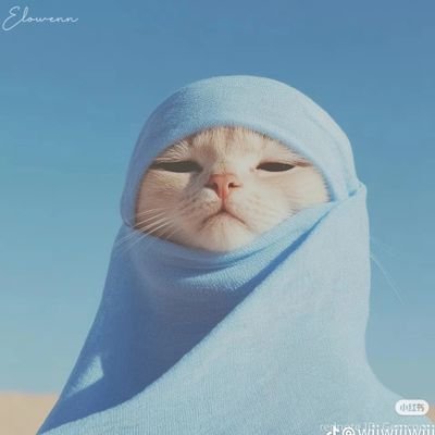 Pawpads_asbhymy's profile picture. 🪐