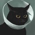 Kohrman (@hairywasabi) Twitter profile photo Kohrman (@hairywasabi) Twitter profile photo