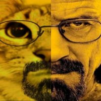 gustavo (@gustavom2006) 's Twitter Profile