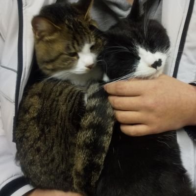 5zRx58cIUI40584's profile picture. いろんな事呟きます⚠️