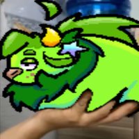 .•°PiT💚|•| (@pit_the_bull) 's Twitter Profile