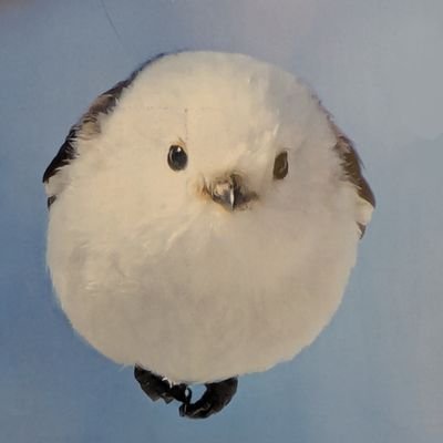 ma_ru614omochi's profile picture. 