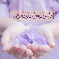 Haider Sambara (@ch_295) 's Twitter Profile