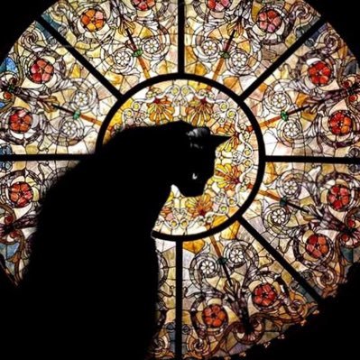 Every good gift and every perfect gift is from above, coming down from the Father of lights, with whom there is no variation or shadow due to change. ✝️❤️🙏🏼
