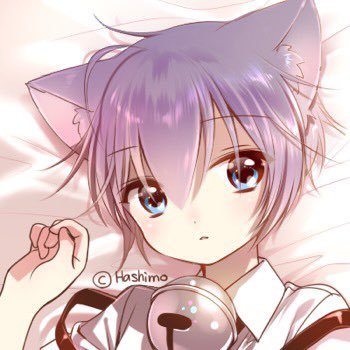 ᓚᘏᗢ 💕さんのプロフィール画像