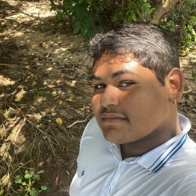 LipeNery's profile picture. 