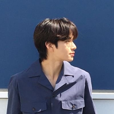 the one and only prince 98 line from nct, kim jungwoo. snd. (Long Hiatus).