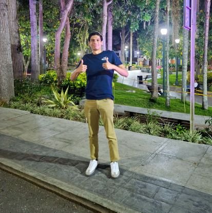 luisfaes's profile picture. whatever