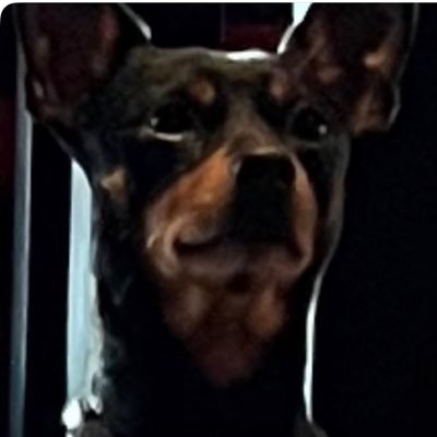 ivan_larsson5's profile picture. 