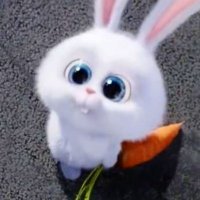 Ðio†girls🩷 (@diogirls777) 's Twitter Profile Photo